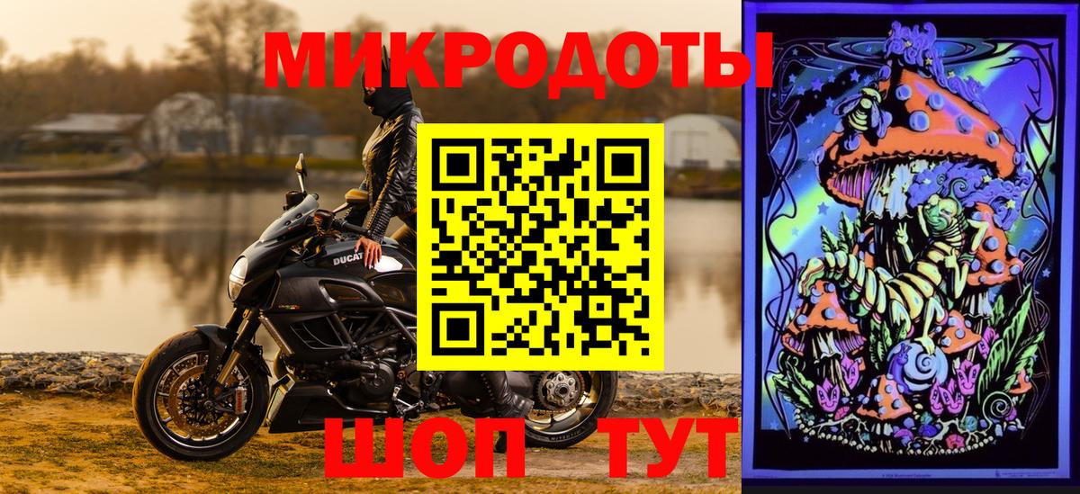 Галлюциногенные грибы Psilocybine cubensis Орск