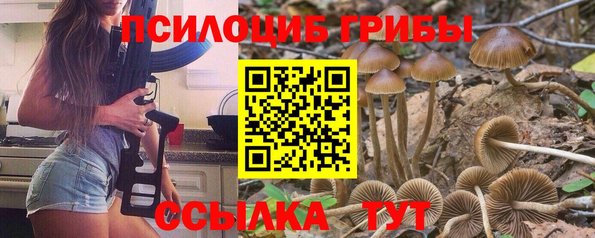 купить наркоту  Вход с VPN  Орск  Псилоцибиновые грибы Psilocybe 